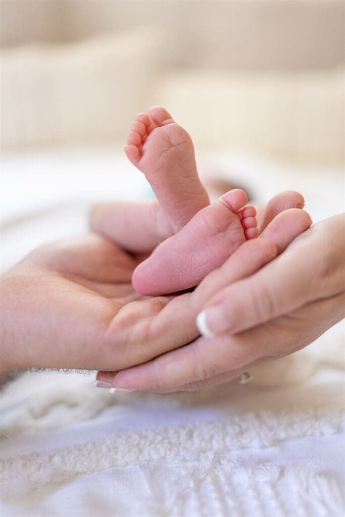 Best Newborn Photographer South Shore MA